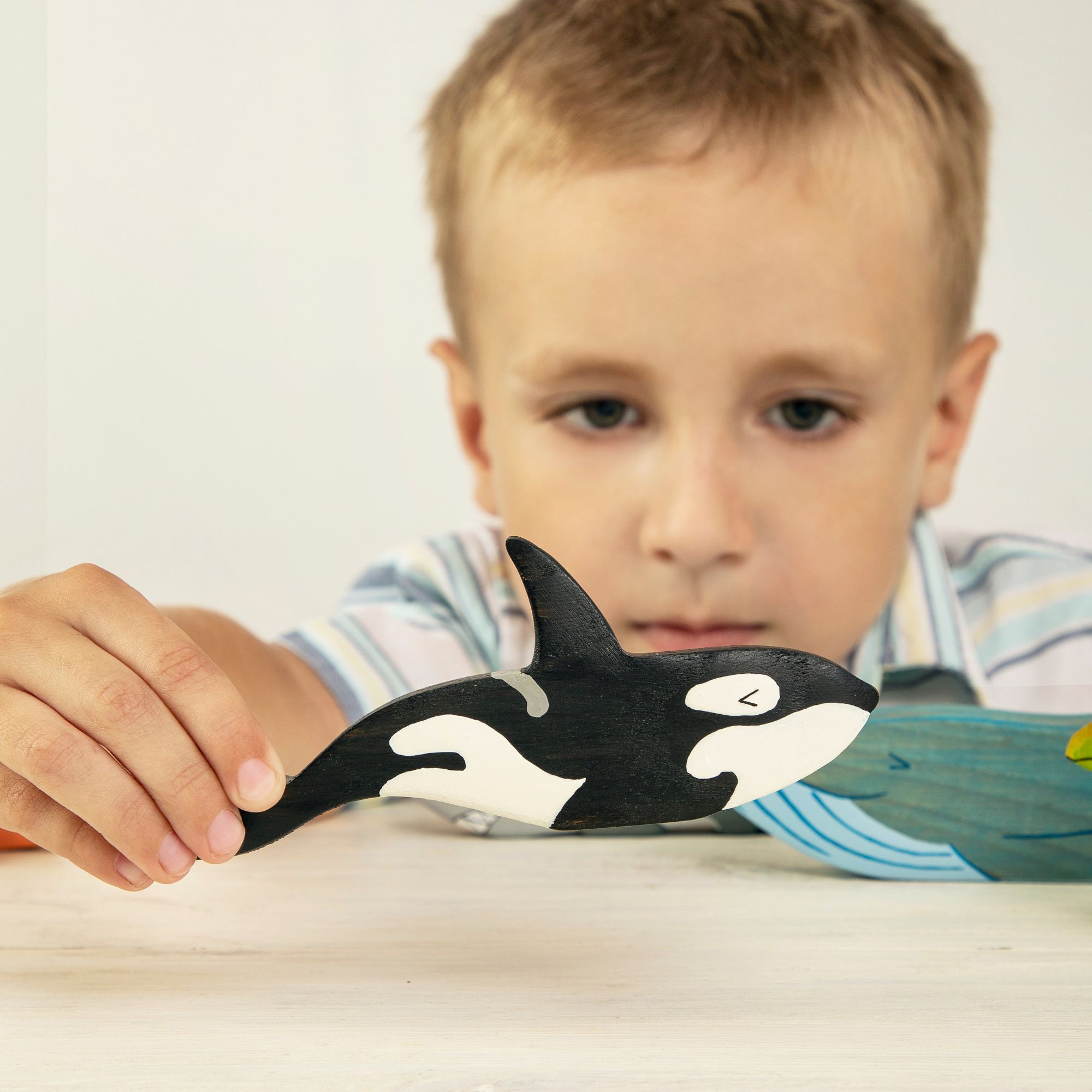 Discover the Big Sea Animals Set 12 Sea Animal Figurines and Coral